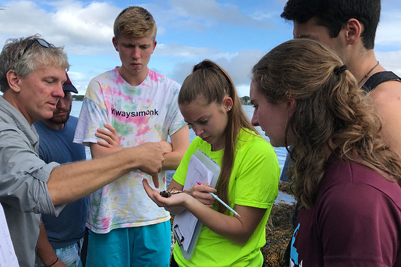 Saint Joseph's College of Maine: #495 in Money's 2020-21 Best Colleges