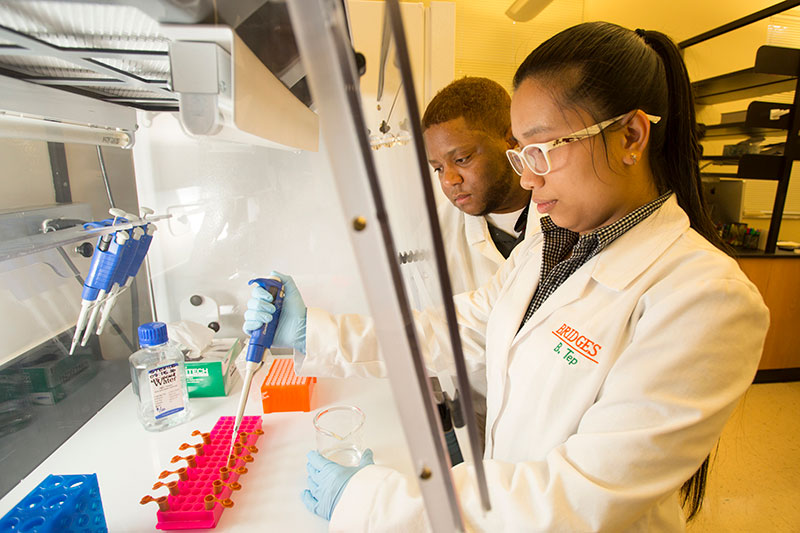 Florida Agricultural and Mechanical University