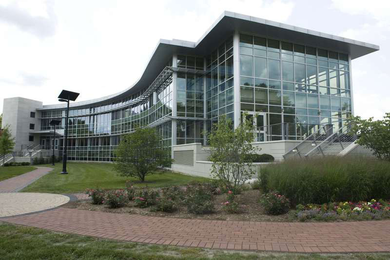 Lewis University
