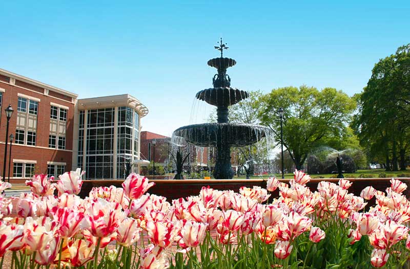 Augusta University
