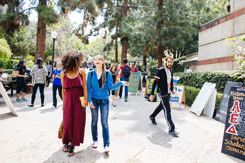 University of California, Los Angeles