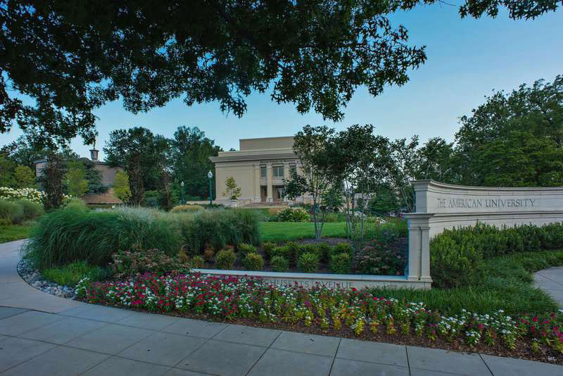 American University