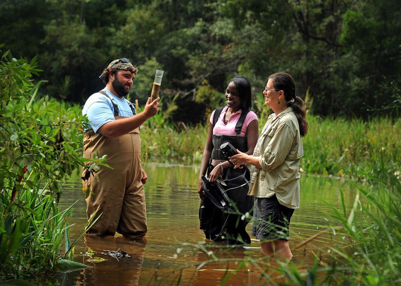 University of West Florida