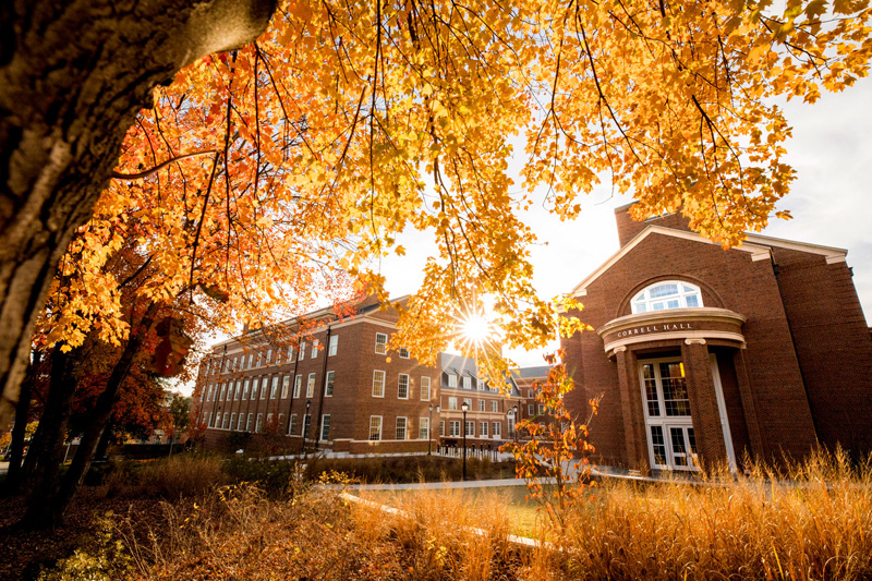 University of Georgia