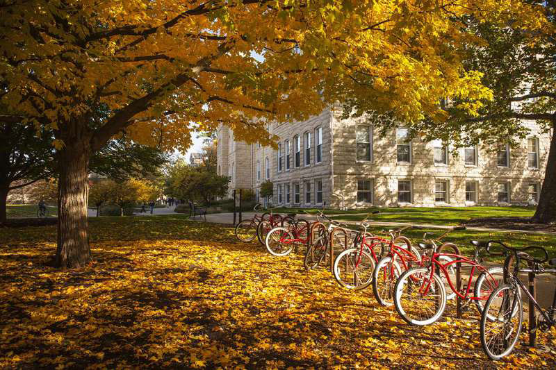 North Central College