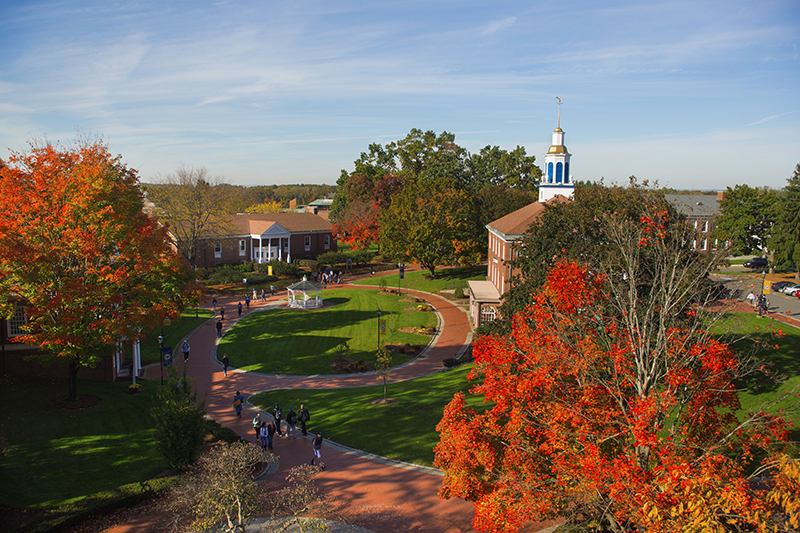 Western New England University