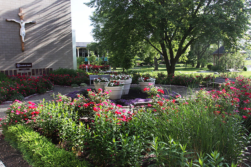 Madonna University