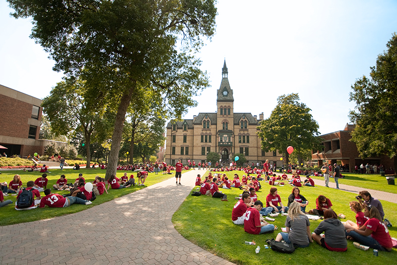 Hamline University