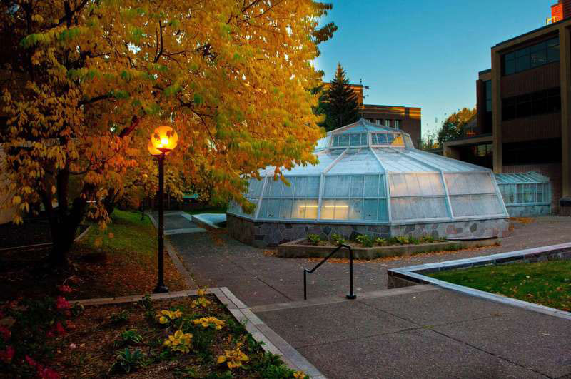 University of Minnesota-Duluth