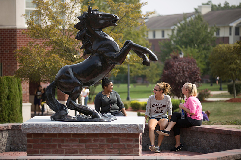 Dominican University New York
