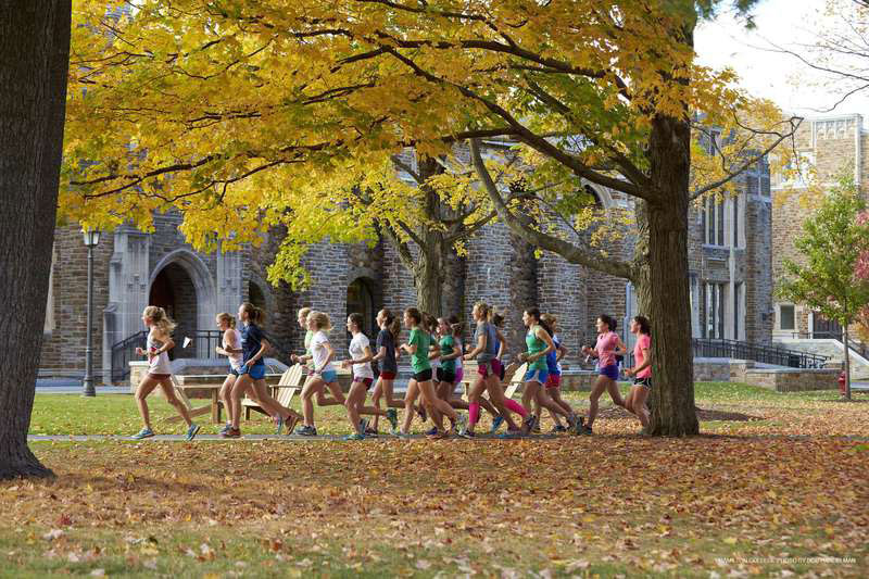 Hamilton College