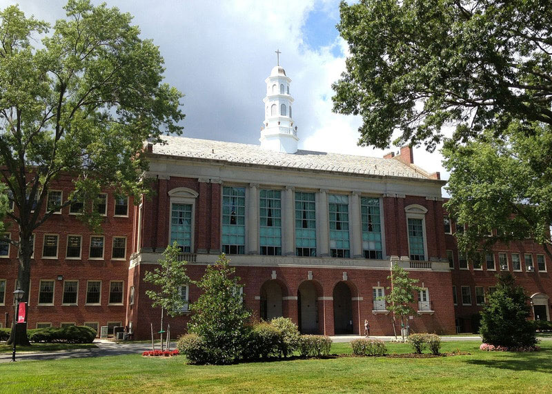 Molloy University