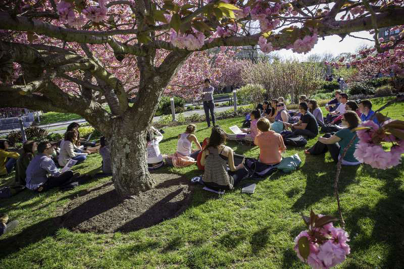 Stony Brook University