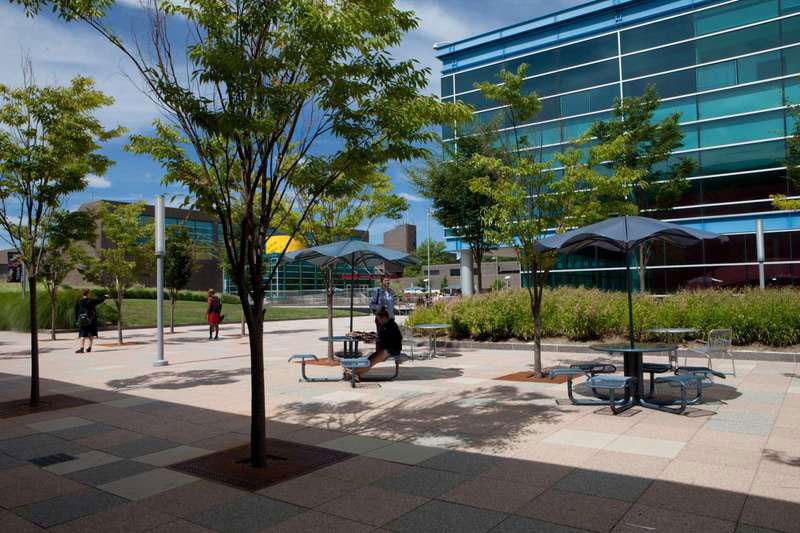 SUNY at Purchase College
