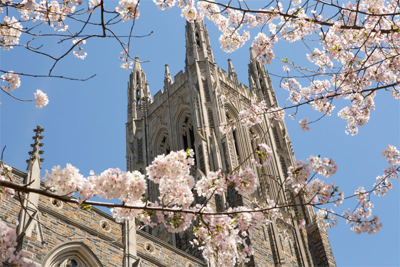 Duke University