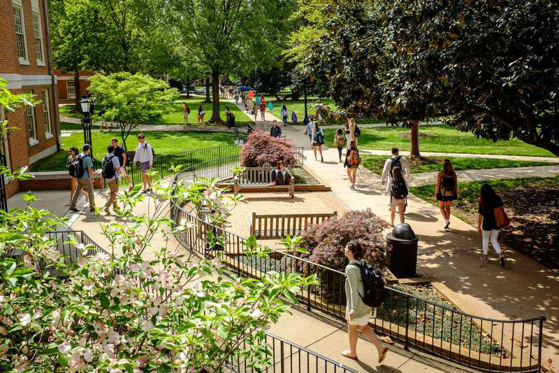 Wake Forest University