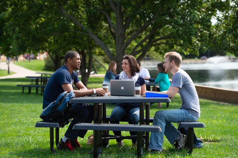 Cedarville University