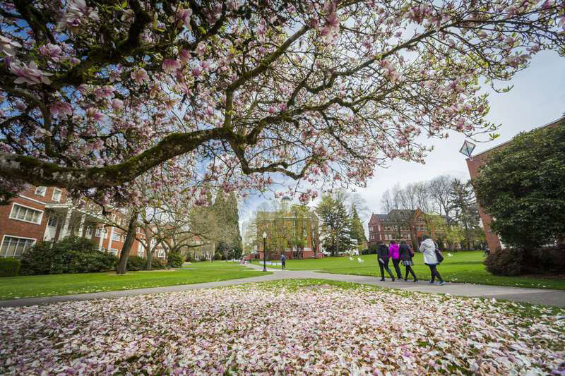 Willamette University