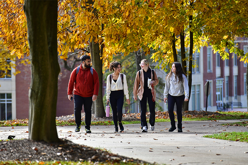 Gwynedd Mercy University
