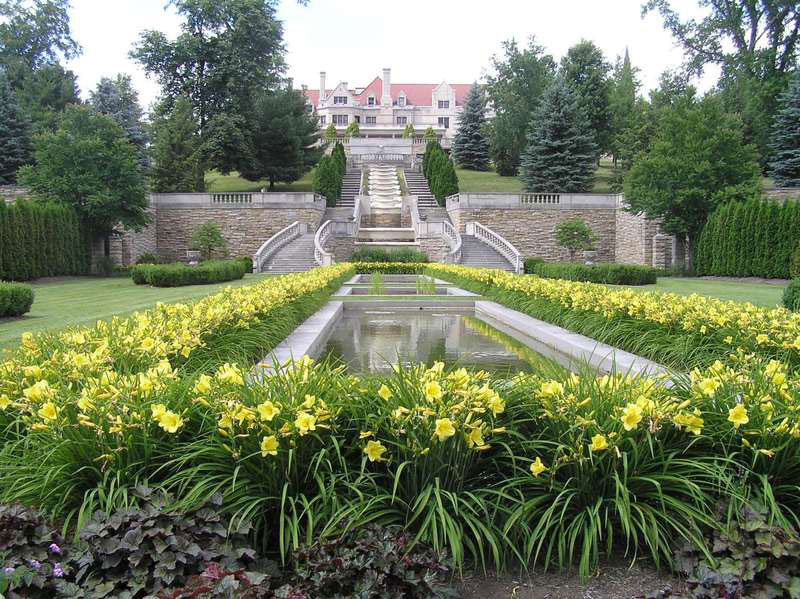 Saint Francis University