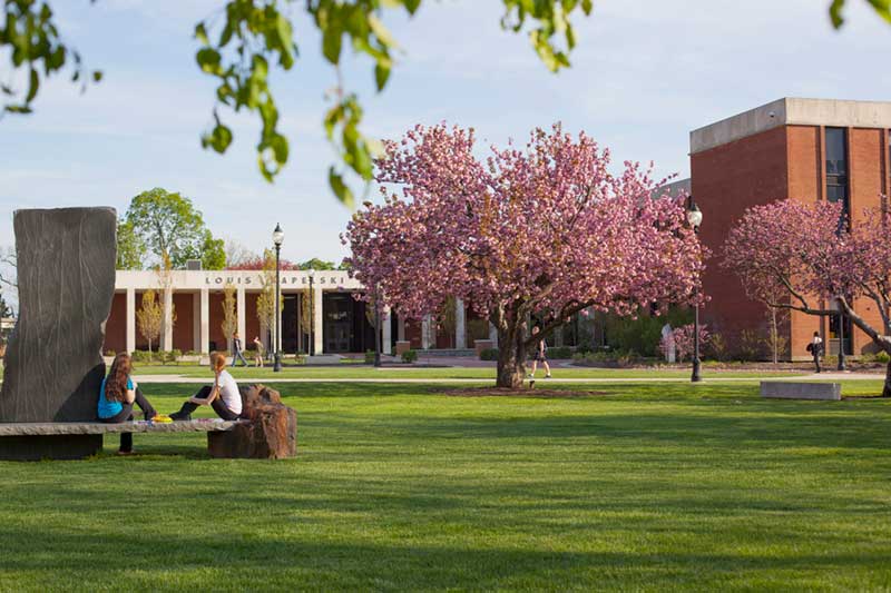 Widener University