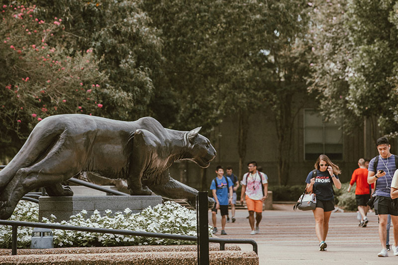 University of Houston
