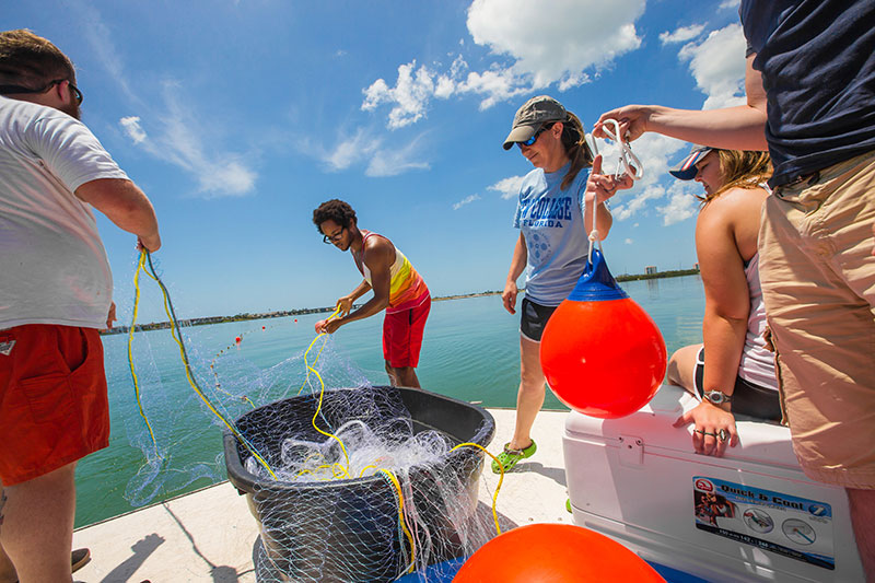 New College of Florida